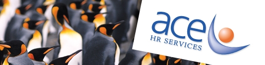 Рекламни Материали ACE HR Service Рекламни Материали ACE HR Service