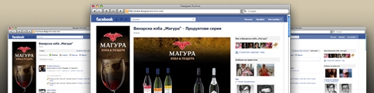 Фейсбук приложение - Магура Фейсбук приложение - Магура