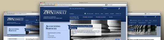 Web Site of Zara Consult